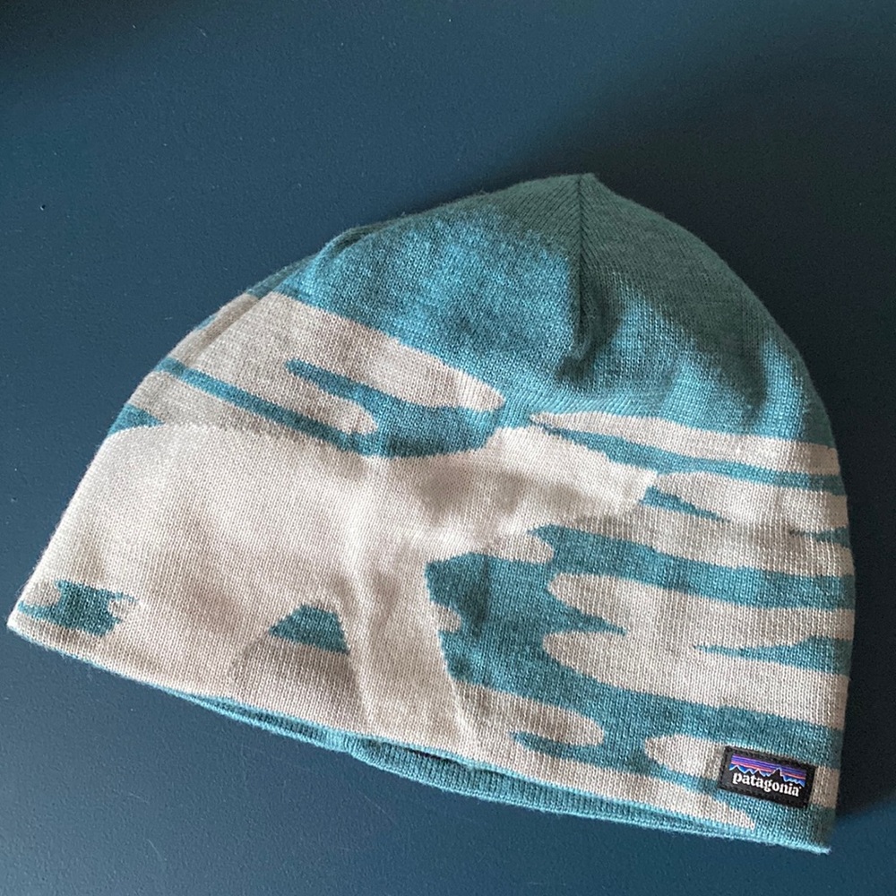 Patagonia winter beanie